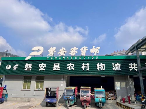 大陆_齐鲁网
