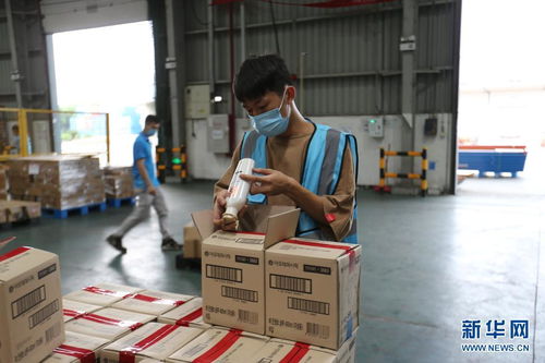 开放不息，海淘不止 疫情防控常态化下的广州对外开放与海淘物流之路
