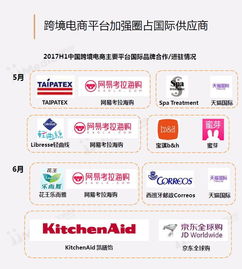 2017上半年中国跨境电商市场研究报告 便宜的海淘物流成为发展关键