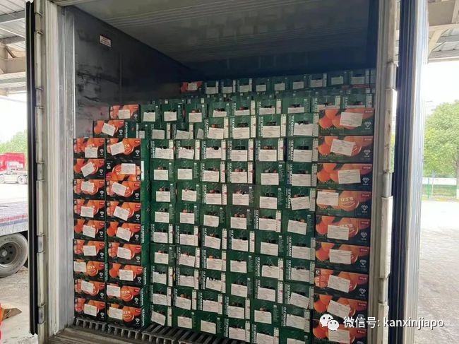 中新物流全线降价 海运快递低至4.5元/公斤，开启轻松海淘新时代